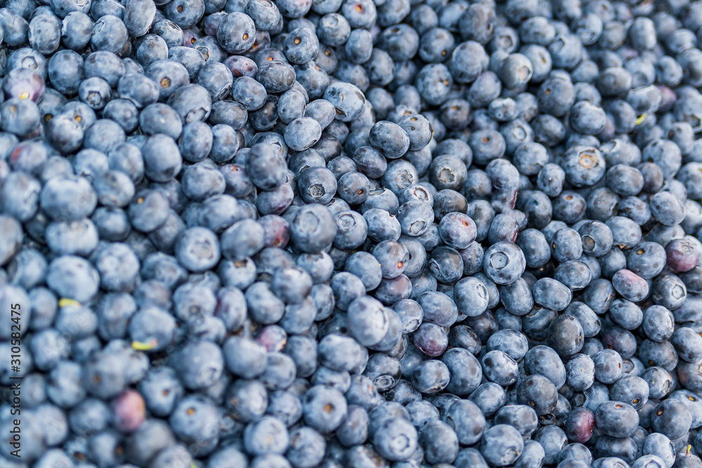 Fresh blueberry. Top view. Concept of healthy and dieting eating. Fresh blueberry. Top view. Concept of healthy and dieting eating.