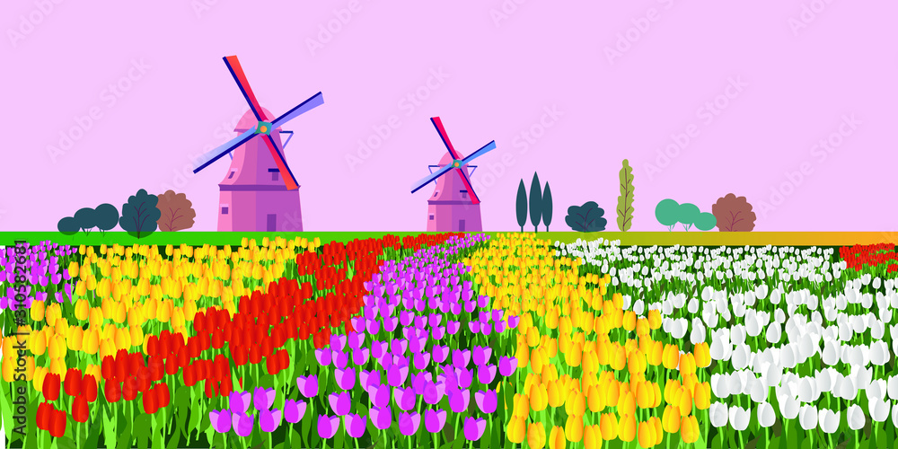Vector illustration of a landscape with Dutch tulips and windmills. For design posters and greetings. - obrazy, fototapety, plakaty 