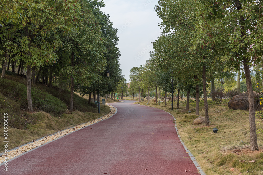 View of a curved asphalt runway in the park woods View of a curved asphalt runway in the park woods