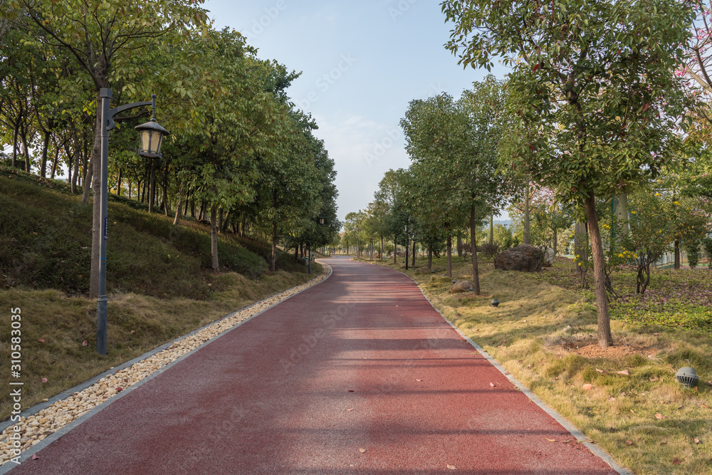 Fototapeta premium View of a curved asphalt runway in the park woods