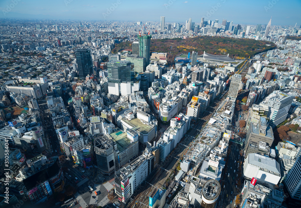 Fototapeta premium 東京風景 渋谷スカイから望む 新宿方面 紅葉 2019年12月