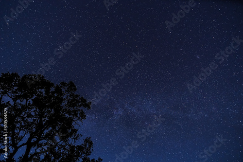 Sternenhimmel mit Baum