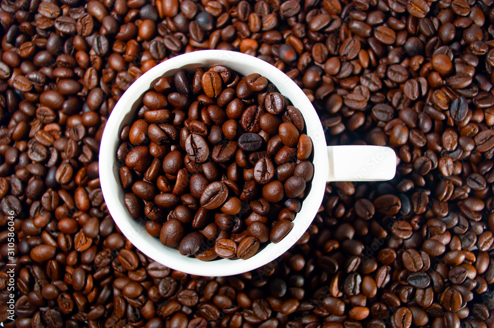 coffee bean in white cup coffee bean in white cup