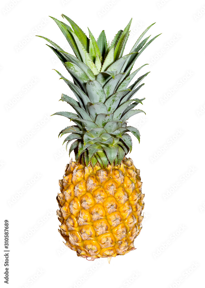 ripe pineapple isolate on white background ripe pineapple isolate on white background