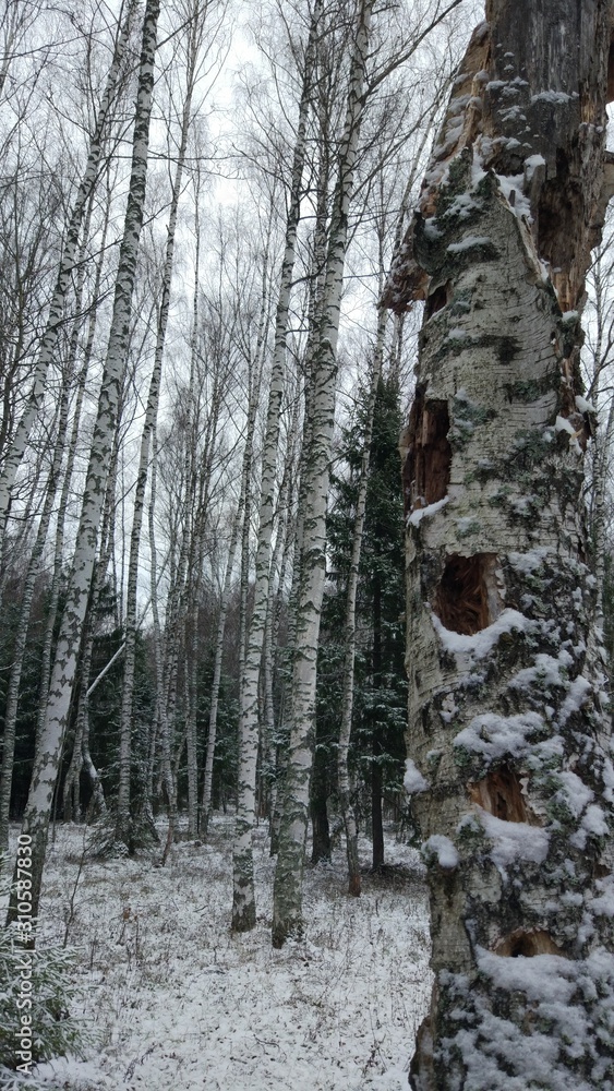 Obraz premium village