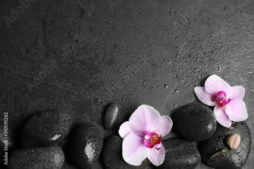 Stones with orchid flowers and space for text on wet black background, flat lay. Zen lifestyle