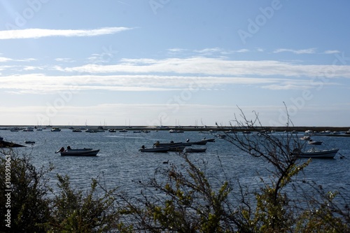 landscape with sea and sky