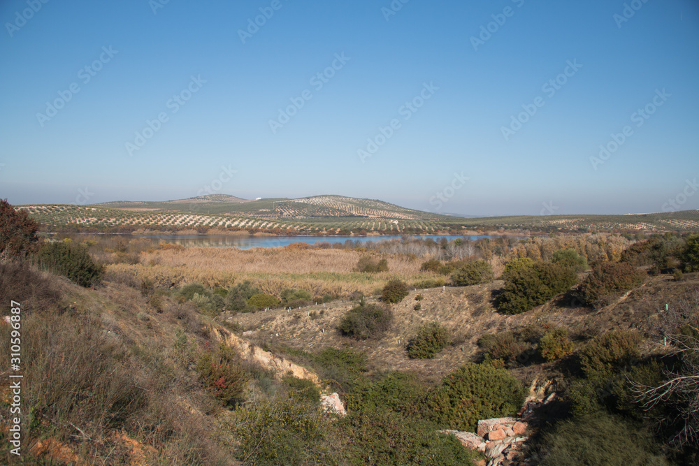 Paisaje natural, fondo laguna, terreno con mucha diversidad animal.