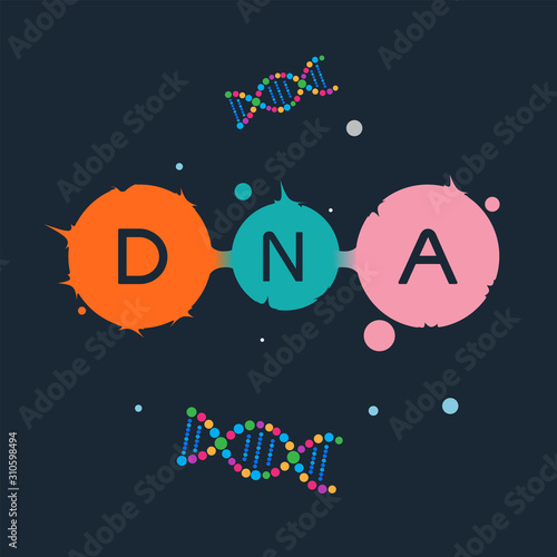 DNA and chromosome vector 