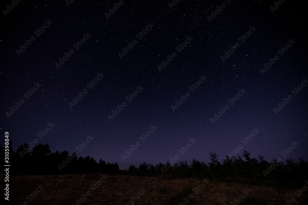 Photography of purple night sky full of stars and pines and trees in the mountain