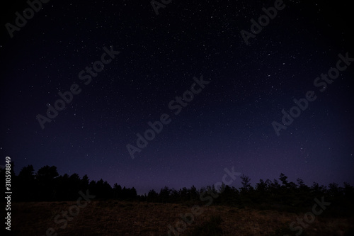 Photography of purple night sky full of stars and pines and trees in the mountain