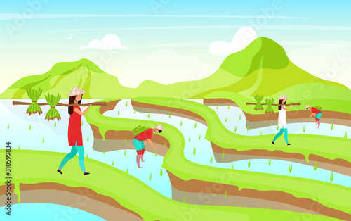 Rice plantation flat vector illustration. Indonesian workers. Food plants. Asian farming. Hard working women cartoon characters. Thailand traditional agricultutre. Rice fields background