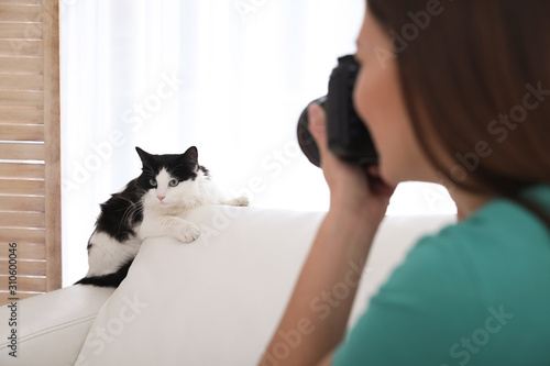 Fototapeta Naklejka Na Ścianę i Meble -  Professional animal photographer taking picture of beautiful cat indoors, closeup