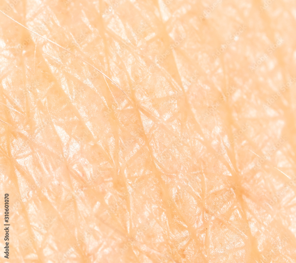 Fototapeta premium Human skin as a background