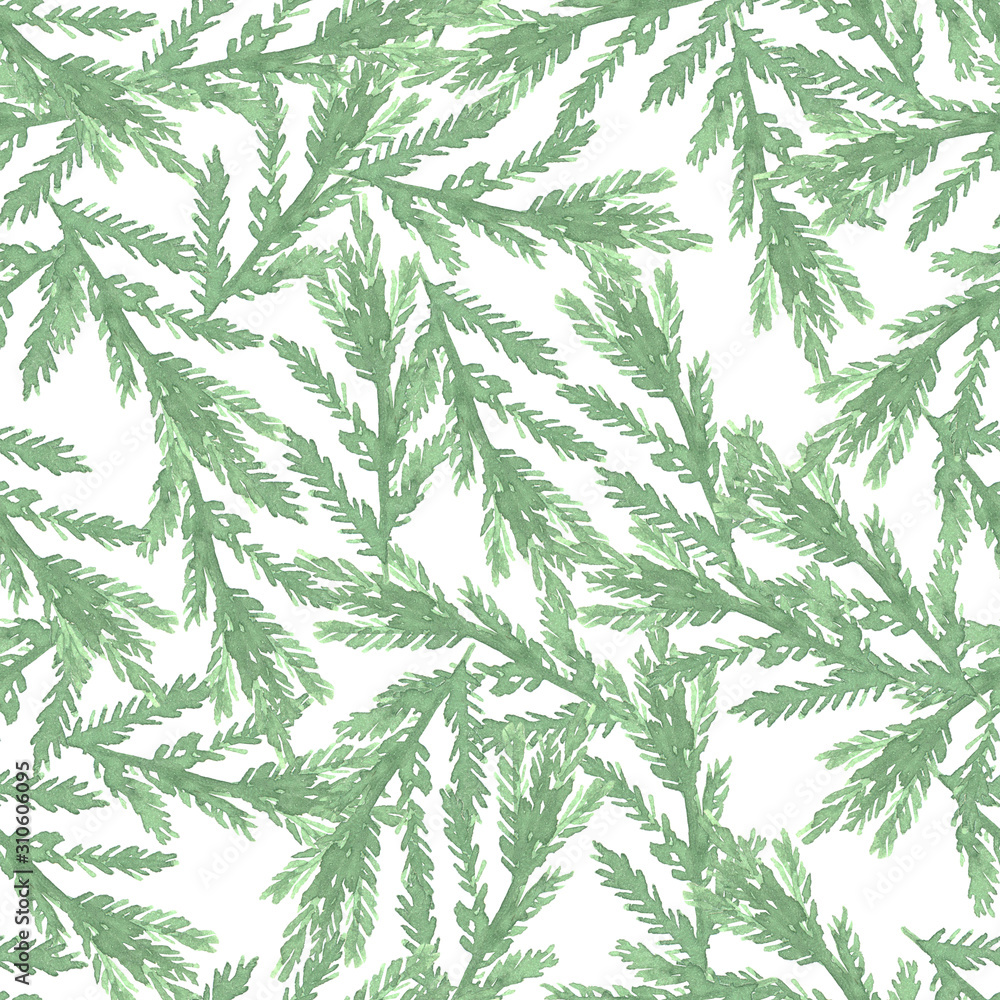 seamless pattern watercolor drawing botanical, branches of spruce, pine, isolated object
