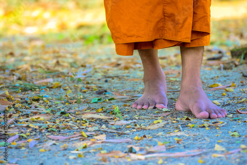 Buddhist monk walking meditation performing meditative walking on the grass.