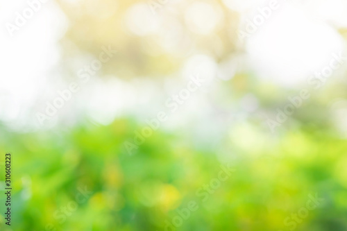 Abstract circular light bokeh background. Green leaves bright colors yellow light shining. Romantic soft gentle artistic image. Beautiful nature glitter blur gentle background. free space for text