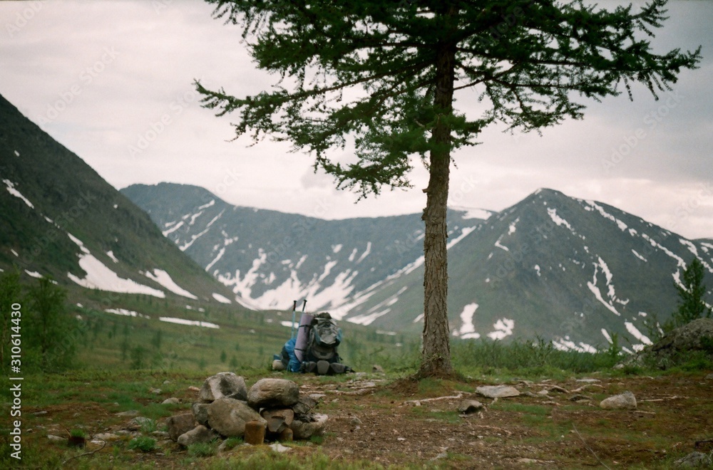  Tourist backpack near a lonely tree on the background of the Ural mountains in the taiga