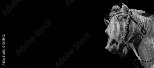 Photo Bronze horse head from Gattamelata equestrian monument, in the historic center o