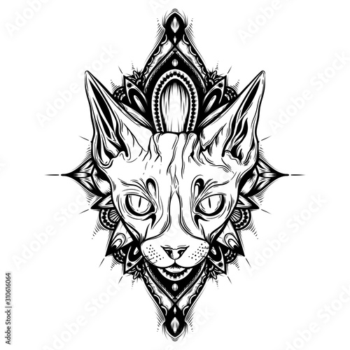 Vector illustration of cat with decorate elements
