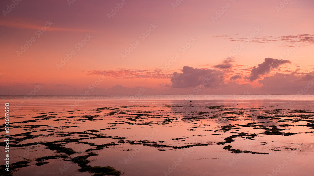 Indian Ocean at dawn off the coast of Zanzibar, Tanzania Indian Ocean at dawn off the coast of Zanzibar, Tanzania