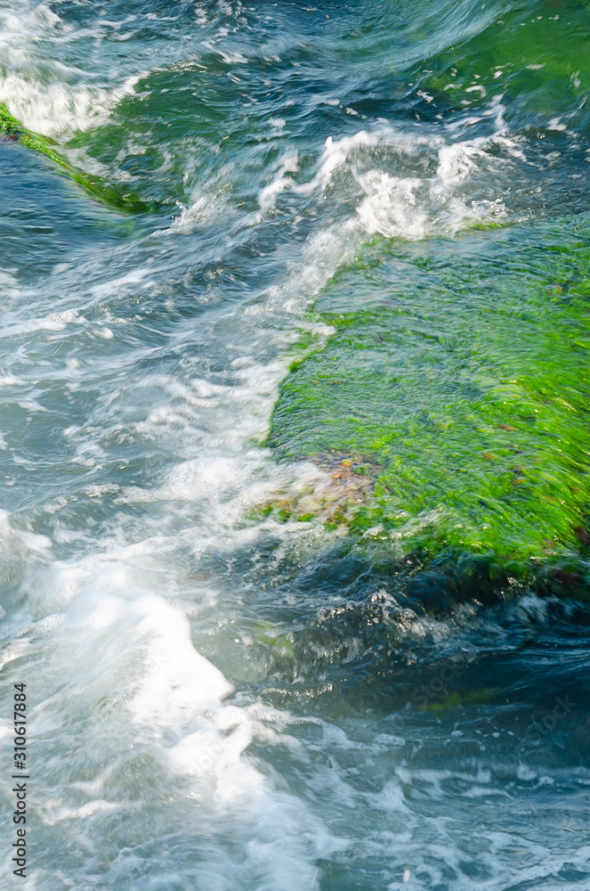 Sea wave is breaking on large rocks covered with seaweeds with spray and foam. Summer day. Closeup. Selective focus