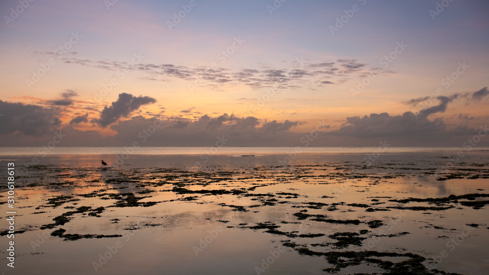 Indian Ocean at dawn off the coast of Zanzibar, Tanzania