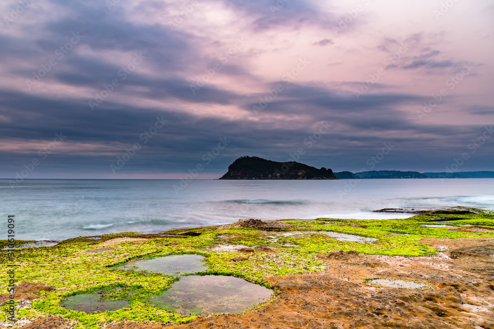 Dawn Seascape and Mossy Green Headland Dawn Seascape and Mossy Green Headland