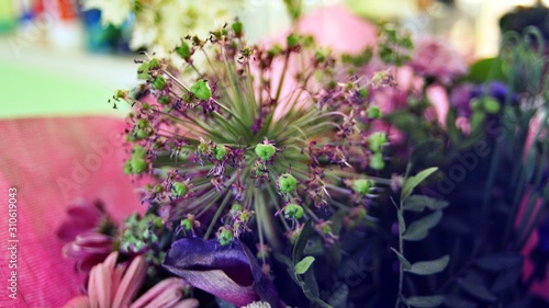 bouquet of flowers