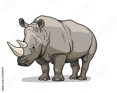 African savannah animal rhinoceros isolated in cartoon style. Educational zoology illustration, coloring book picture.