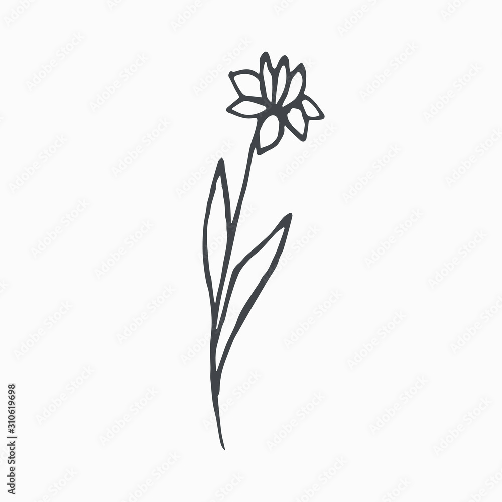 Tiny Leaves Plants Hand drawn vector illustration for logo, invitations, graphic design Tiny Leaves Plants Hand drawn vector illustration for logo, invitations, graphic design