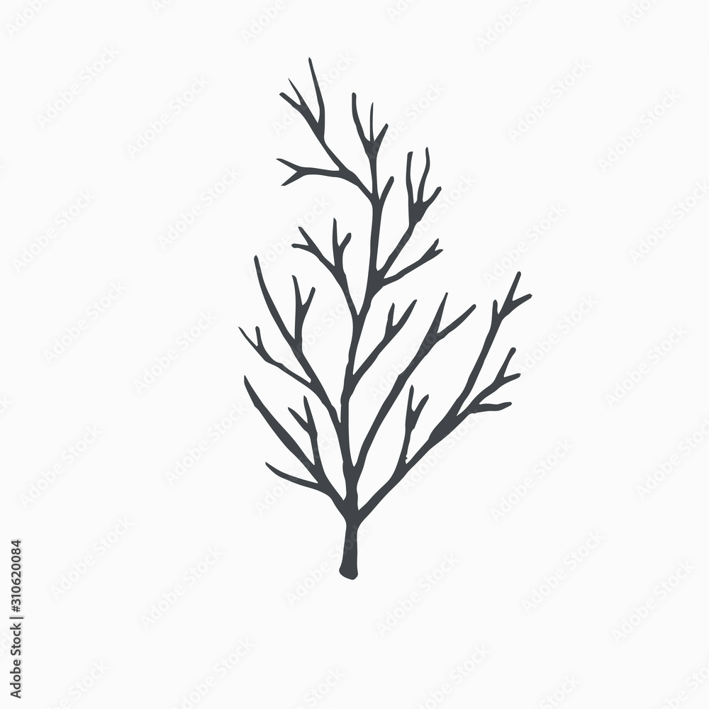 Tiny Leaves Plants Hand drawn vector illustration for logo, invitations, graphic design Tiny Leaves Plants Hand drawn vector illustration for logo, invitations, graphic design