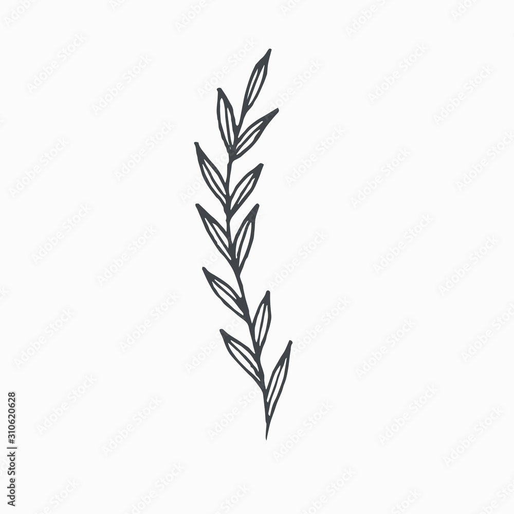 Tiny Leaves Plants Hand drawn vector illustration for logo, invitations, graphic design Tiny Leaves Plants Hand drawn vector illustration for logo, invitations, graphic design