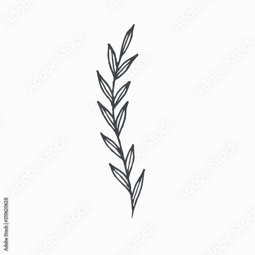 Tiny Leaves Plants Hand drawn vector illustration for logo, invitations, graphic design