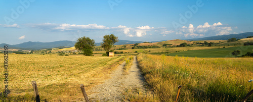 Summer landscape along the road to Camigliatello  Sila