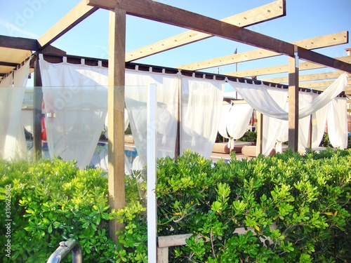 rows of plants in greenhouse