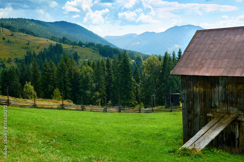 beautiful summer landscape with rural house, spruces on hills, cloudy sky and wildflowers - travel destination scenic, carpathian mountains beautiful summer landscape with rural house, spruces on hills, cloudy sky and wildflowers - travel destination scenic, carpathian mountains