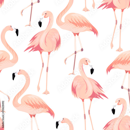 Vector seamless pattern with exotic flamingo. Summer decoration print for wrapping, wallpaper, fabric