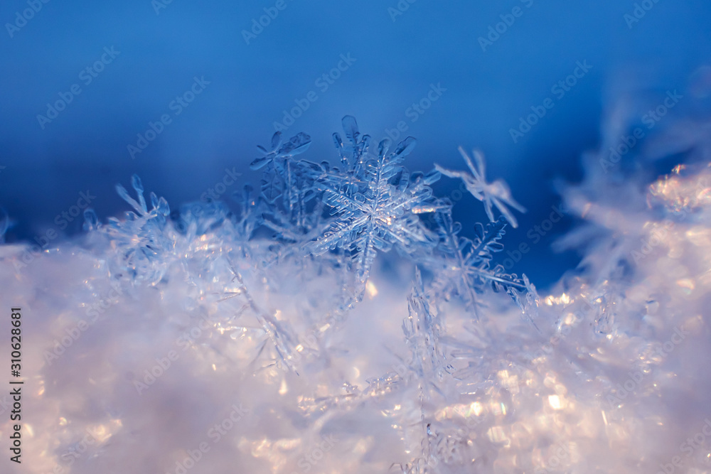 Snowflakes close-up. Macro photo. The concept of winter, cold, beauty of nature. Copy space..