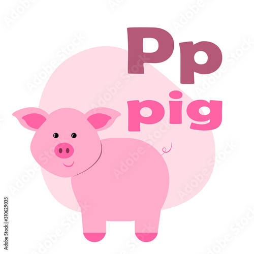 ABC Alphabet illustration. Vector cute kids animal alphabet. Letter P. Cute cartoon pig.