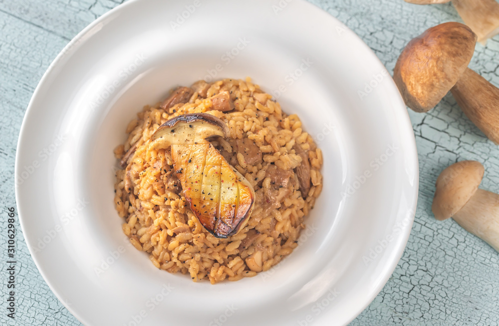 Risotto with porcini mushrooms Risotto with porcini mushrooms