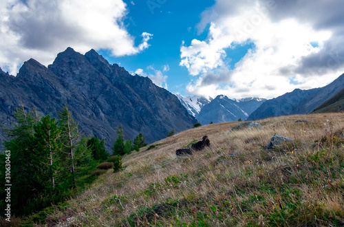 Mountain plateau in clear weather in the Altai Republic.