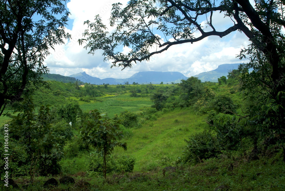 Landscape. Western Ghats, Maharashtra, India Landscape. Western Ghats, Maharashtra, India