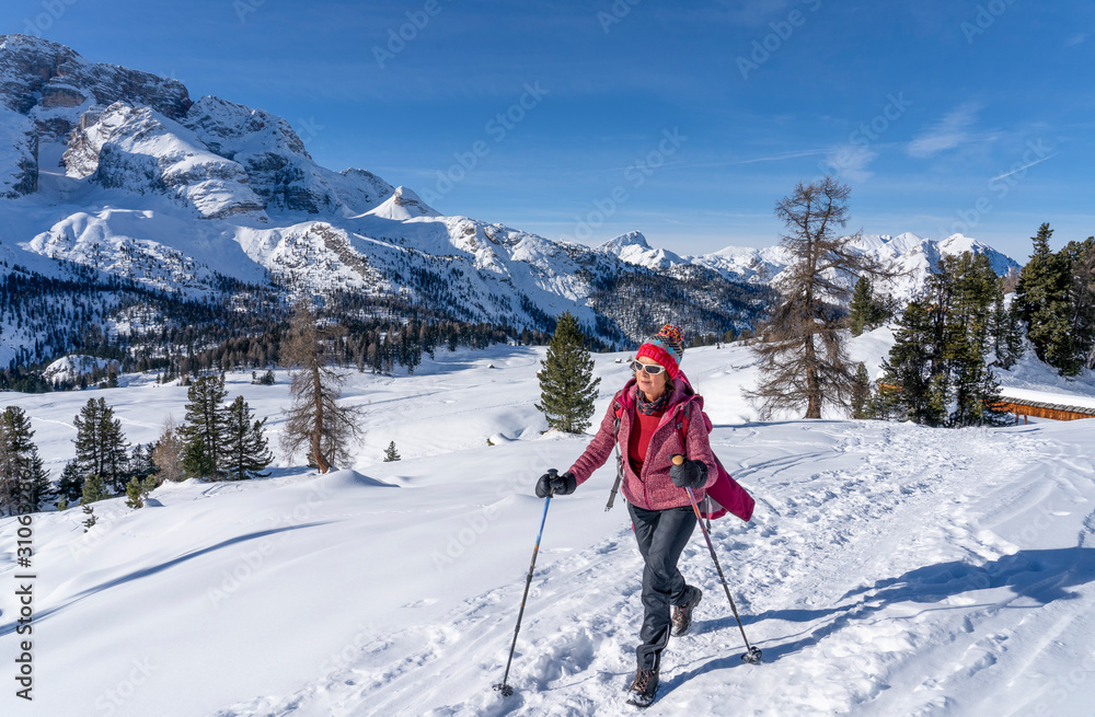 active senior woman snowshoeing from Prato Piazzo up to the Monte Specie in the three oeaks Dolomites area near village of Innichen, South Tyrol, Italy active senior woman snowshoeing from Prato Piazzo up to the Monte Specie in the three oeaks Dolomites area near village of Innichen, South Tyrol, Italy