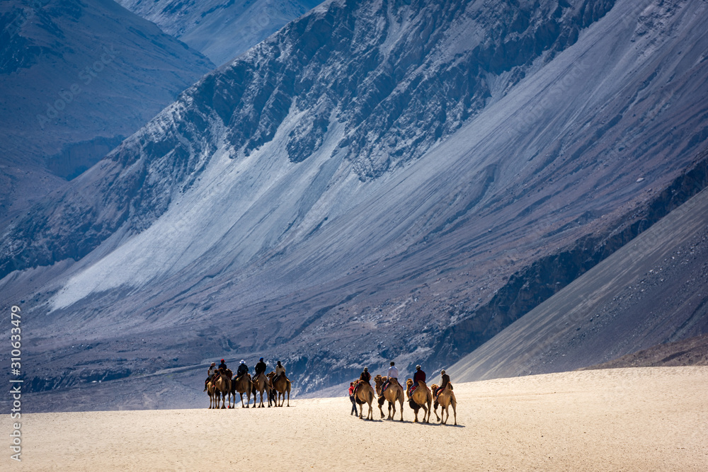 trip in the sand dunes of Nubra Valley, Ladakh