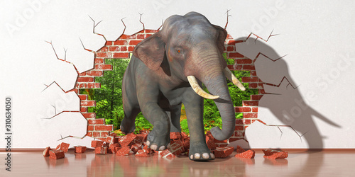 elephant emerging from a fault in the wall photo