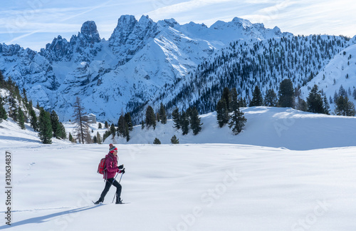 active senior woman snowshoeing from Prato Piazzo up to the Monte Specie in the three oeaks Dolomites area near village of Innichen, South Tyrol, Italy
