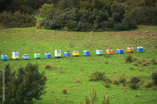 Beehives on Akamas Peninsula (near Smigies nature trail), Cyprus
