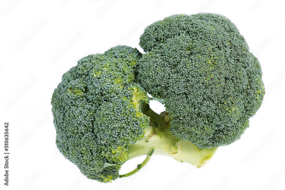 Brocoli isolated on a white background Brocoli isolated on a white background