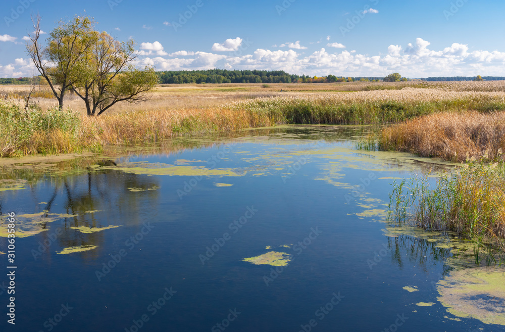 Fototapeta premium Autumnal landscape with small river Kolomak in Potavsk oblast, Ukraine